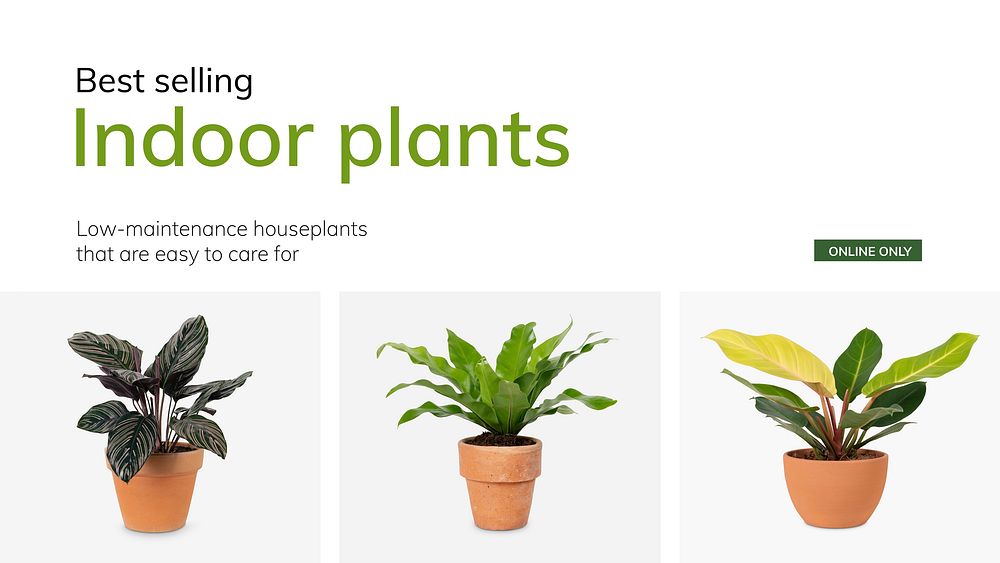 Garden shop template vector best selling indoor plants