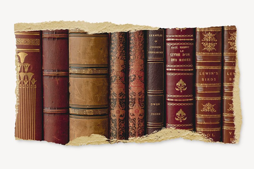 Leather book spines, ripped paper, library image
