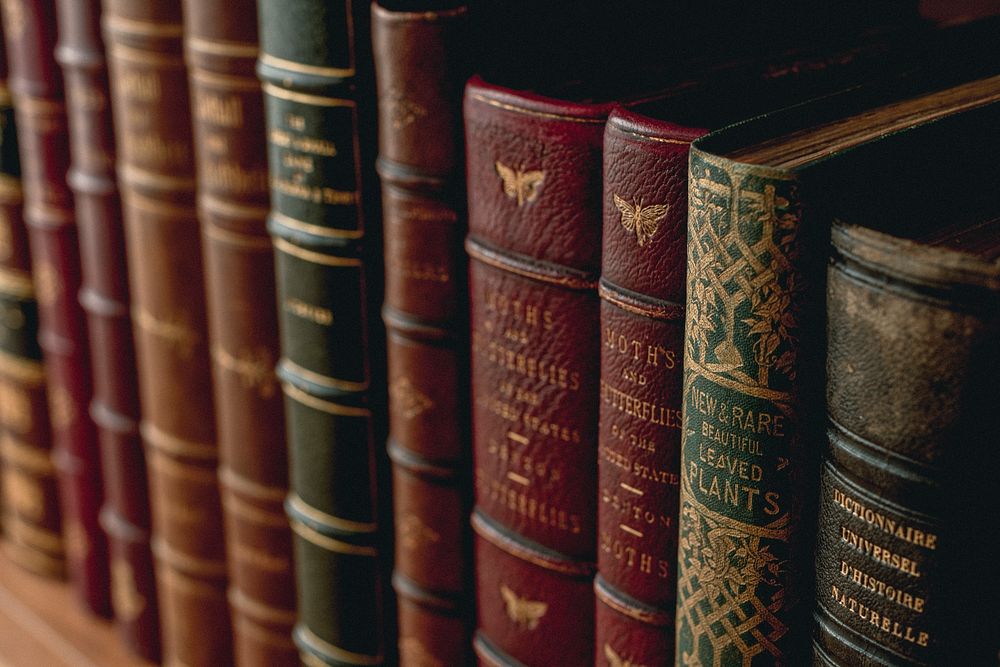 Antique books & dictionaries, from our own original public domain library collection.