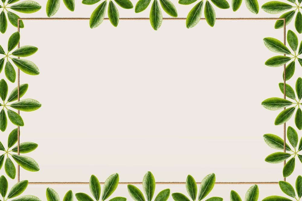Green leaves with golden rectangle frame