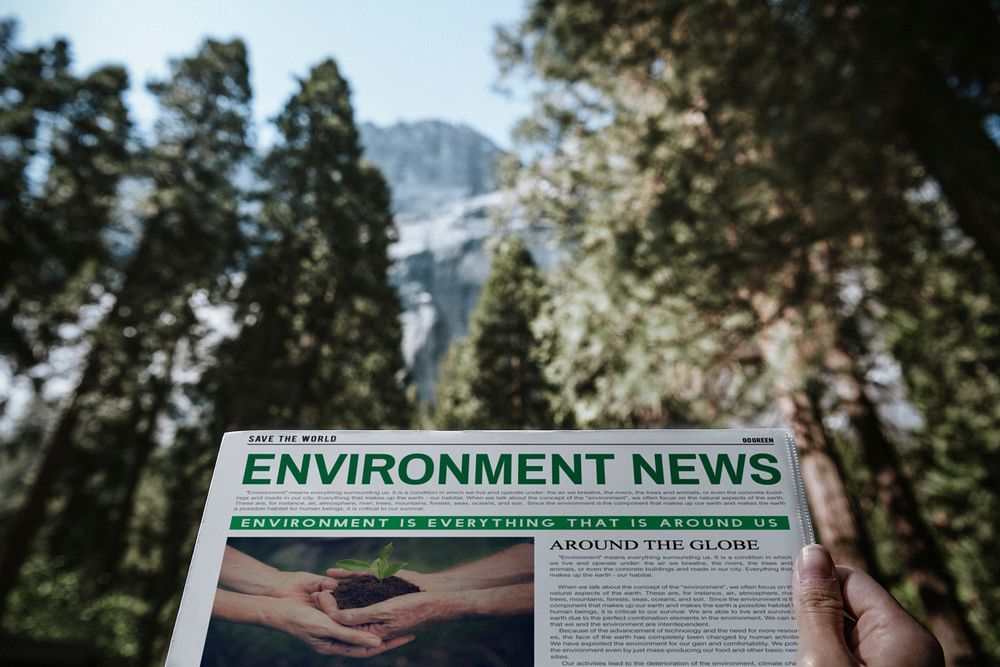 Environment newspaper in a woods