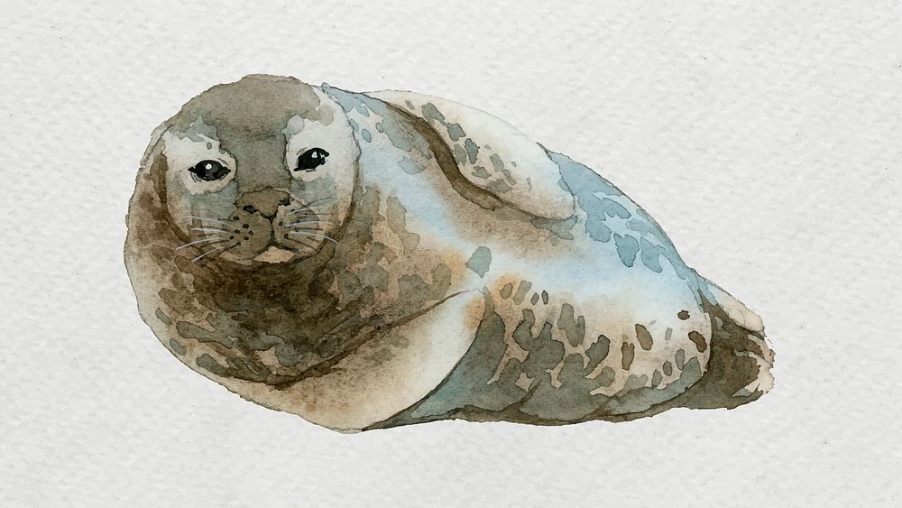 Watercolor painted seal on white canvas vector