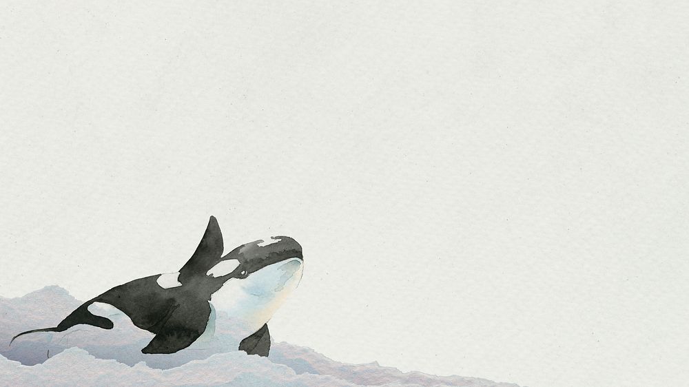Watercolor painted killer whale on paper banner template