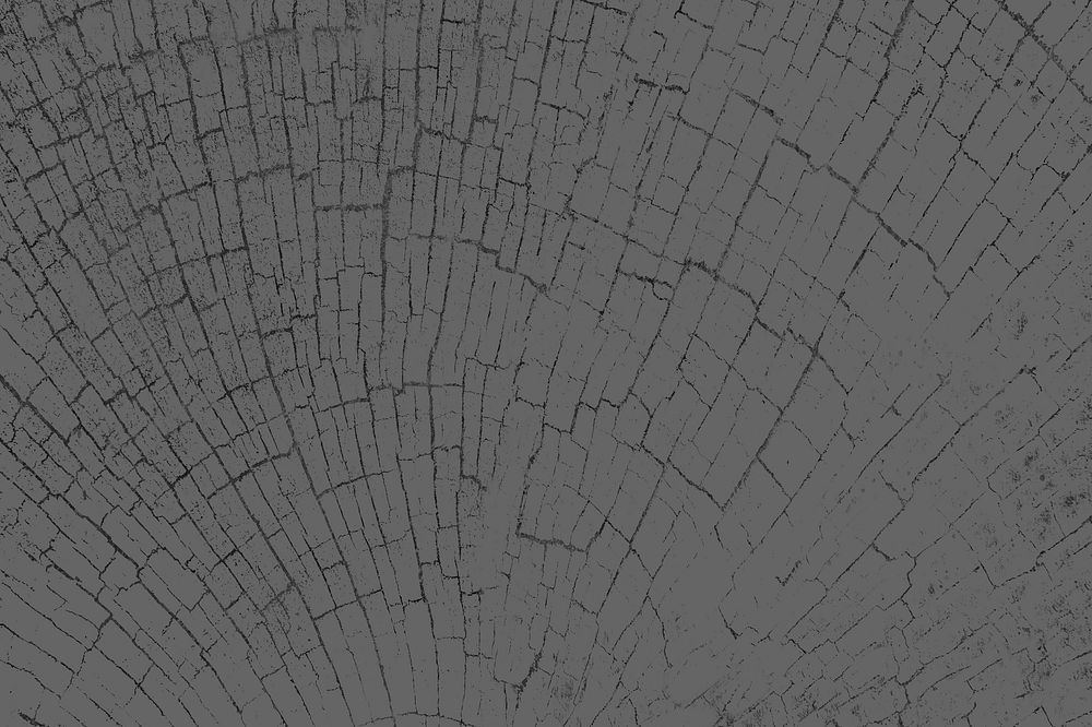 Gray tree rings textured blog banner background