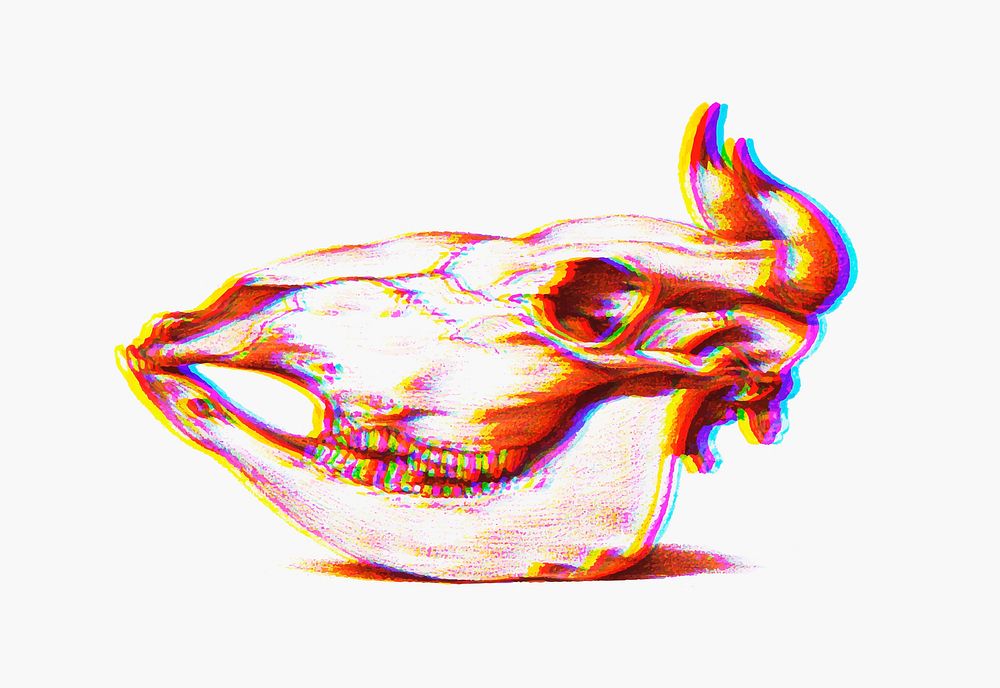 Cow skull vintage illustration vector, remix from original artwork.