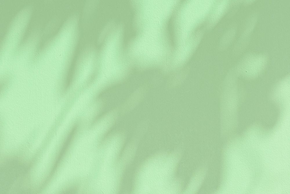 Plant shadow on a green background