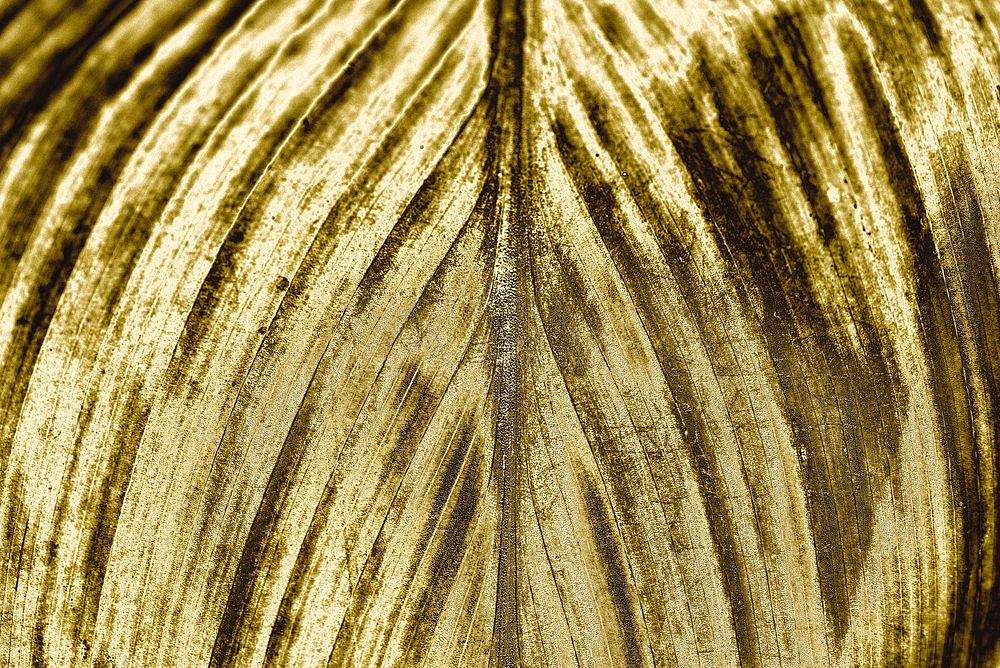 Golden leaf textured background design