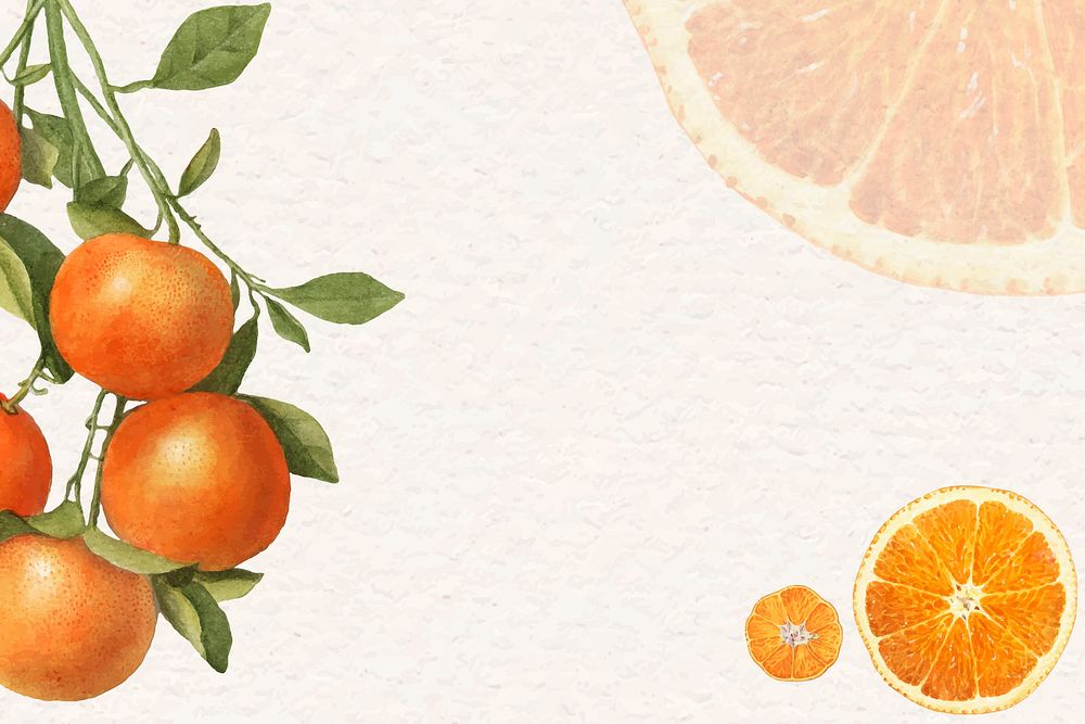 Hand drawn natural fresh orange frame vector