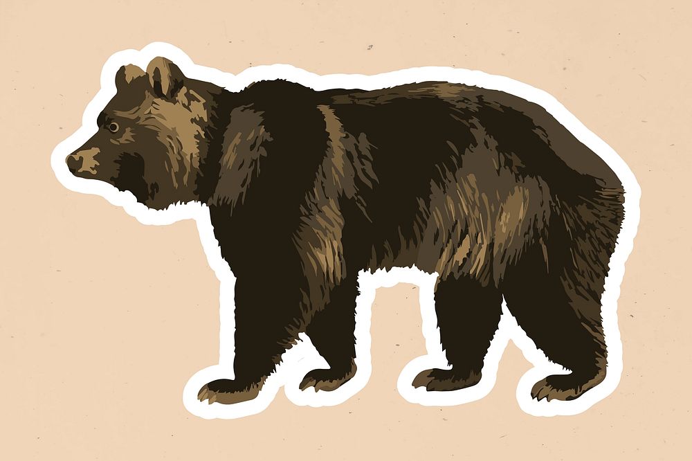 Vectorized grizzly bear sticker overlay with a white border on a beige background 