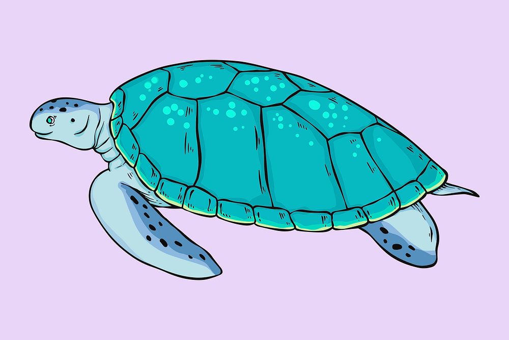 Turtle vintage clipart hand drawn