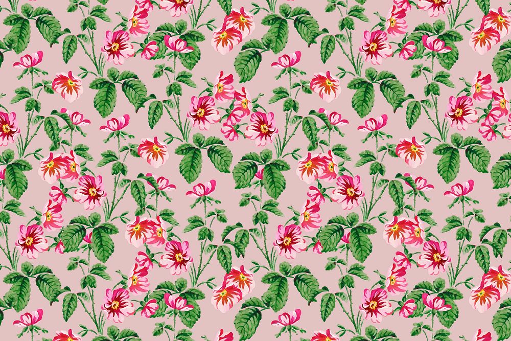 Vector colorful wild rose flower pattern vintage  background