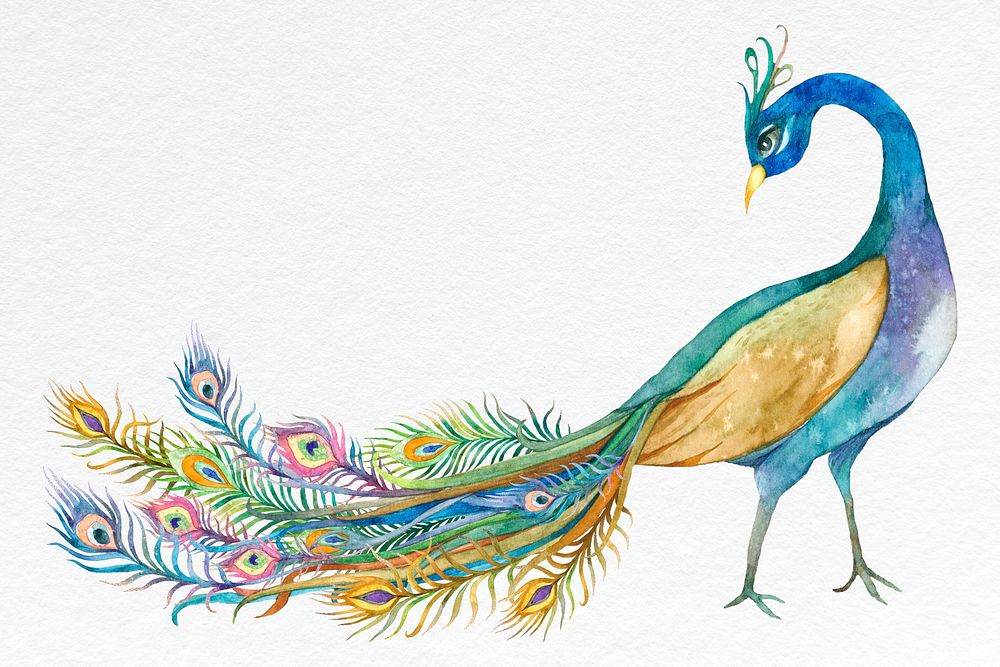 Beautiful watercolor blue peacock psd