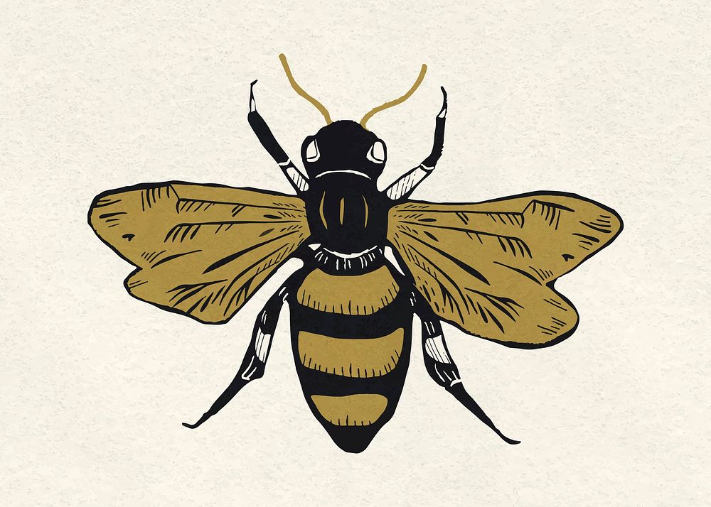 Gold bee vector insect vintage linocut clipart