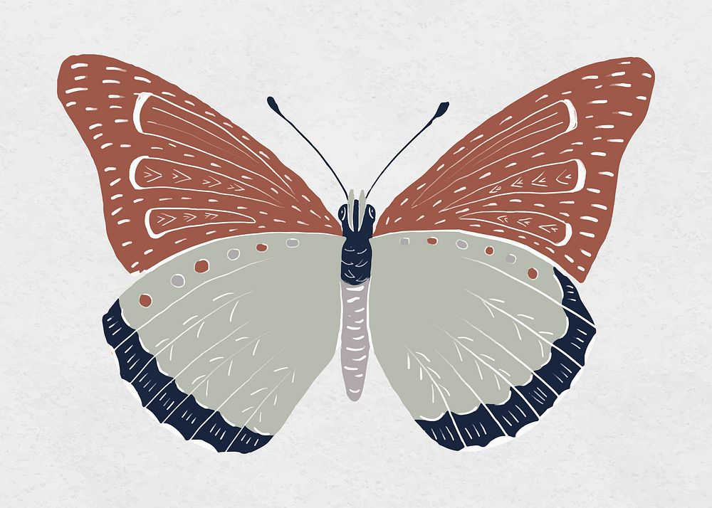 Vintage butterfly insect vector colorful stencil