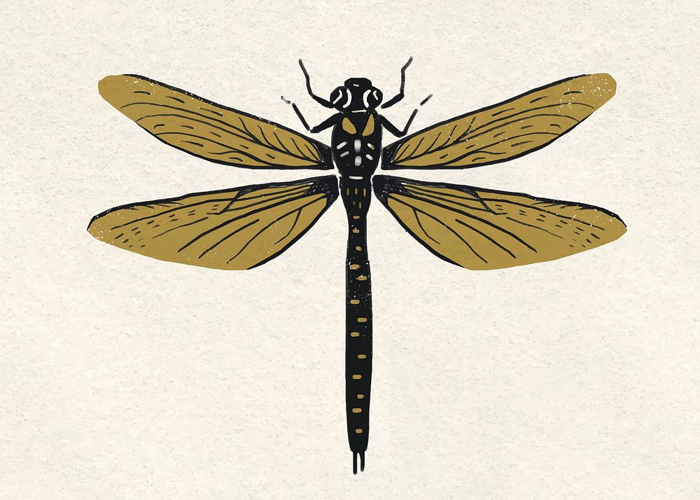 Vintage dragonfly stencil pattern vector drawing