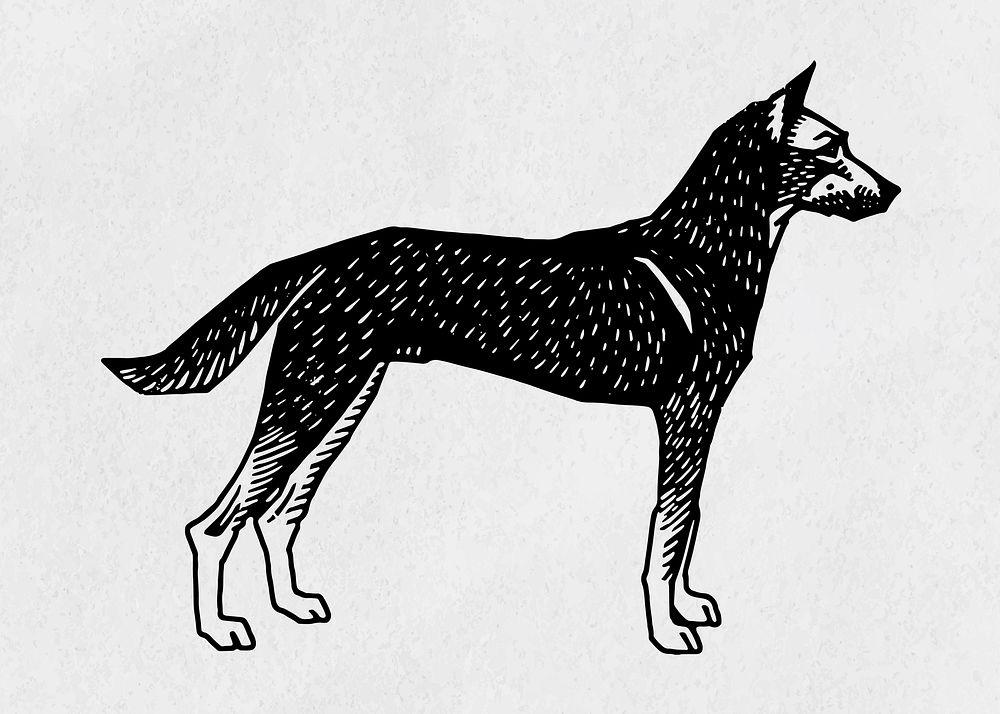Vintage dog vector black linocut hand drawn