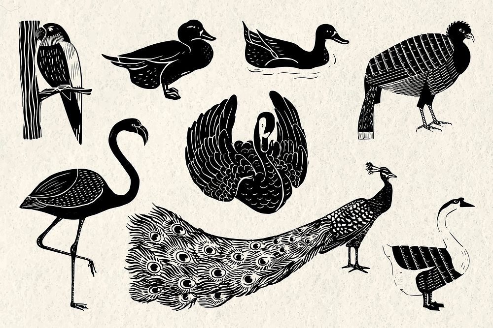 Birds vector black linocut stencil pattern drawing collection