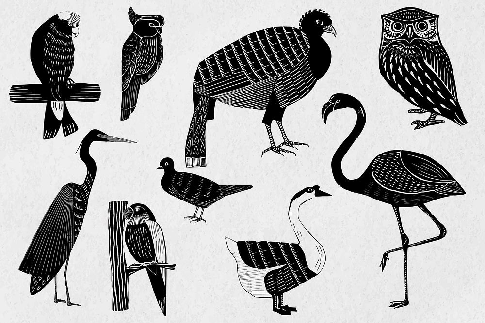 Birds vector black linocut stencil pattern drawing set