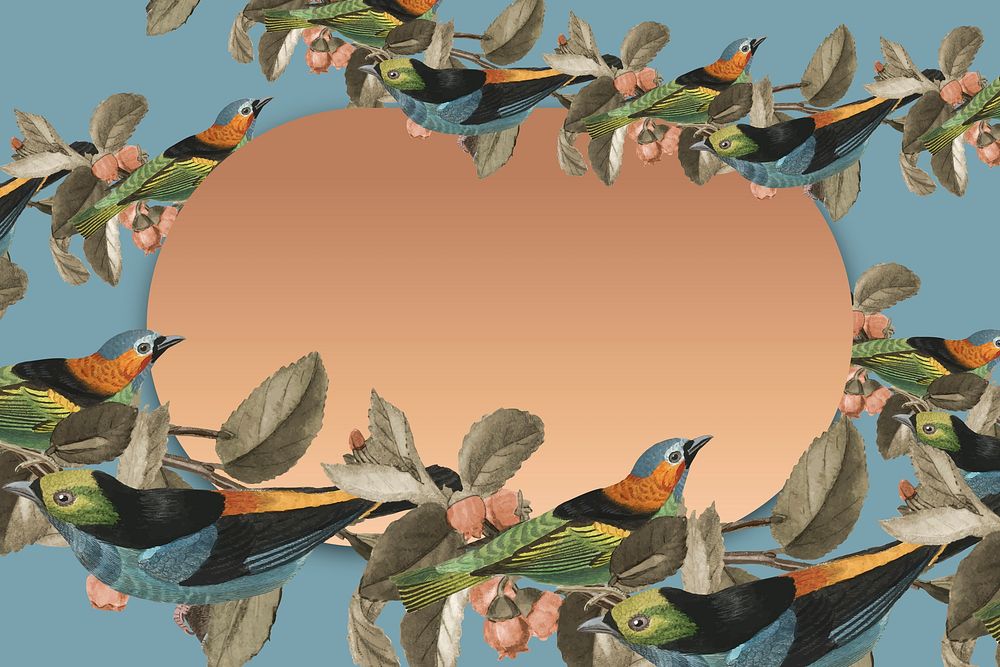 Bird pattern border gold frame with design space illustration