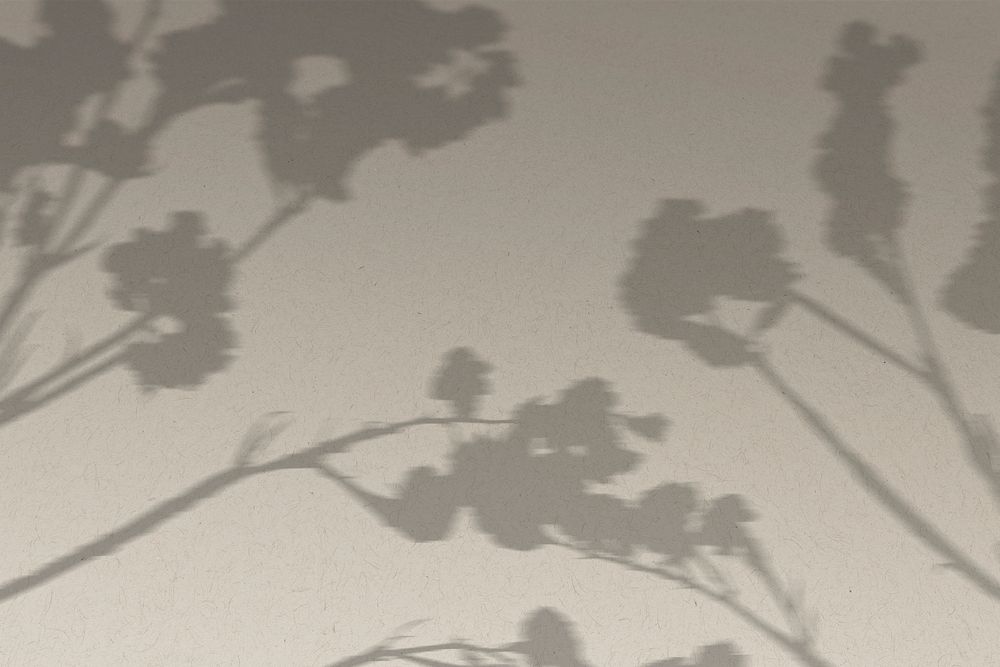 Background psd with shadow of cotton branch