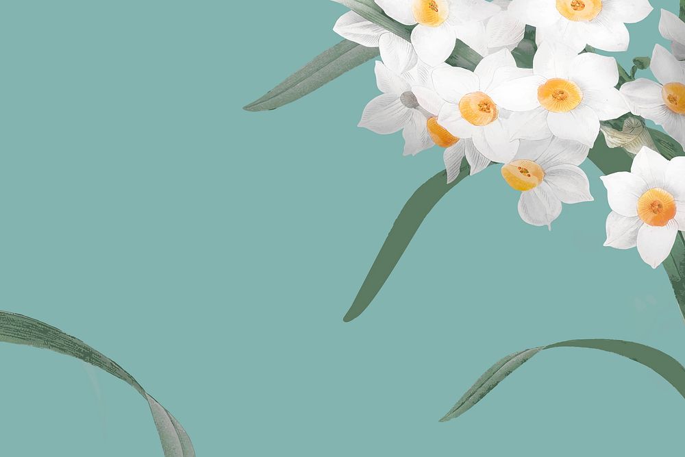 Daffodil border vector on green background