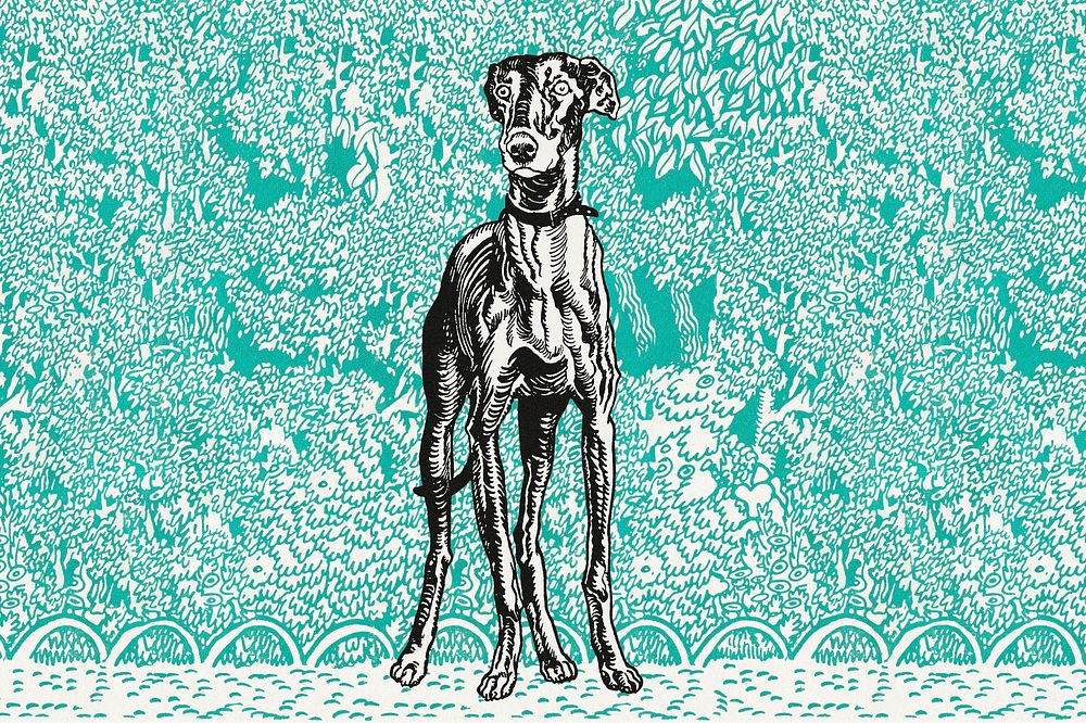Cute greyhound dog vintage illustration, remixed from artworks by Moriz Jung