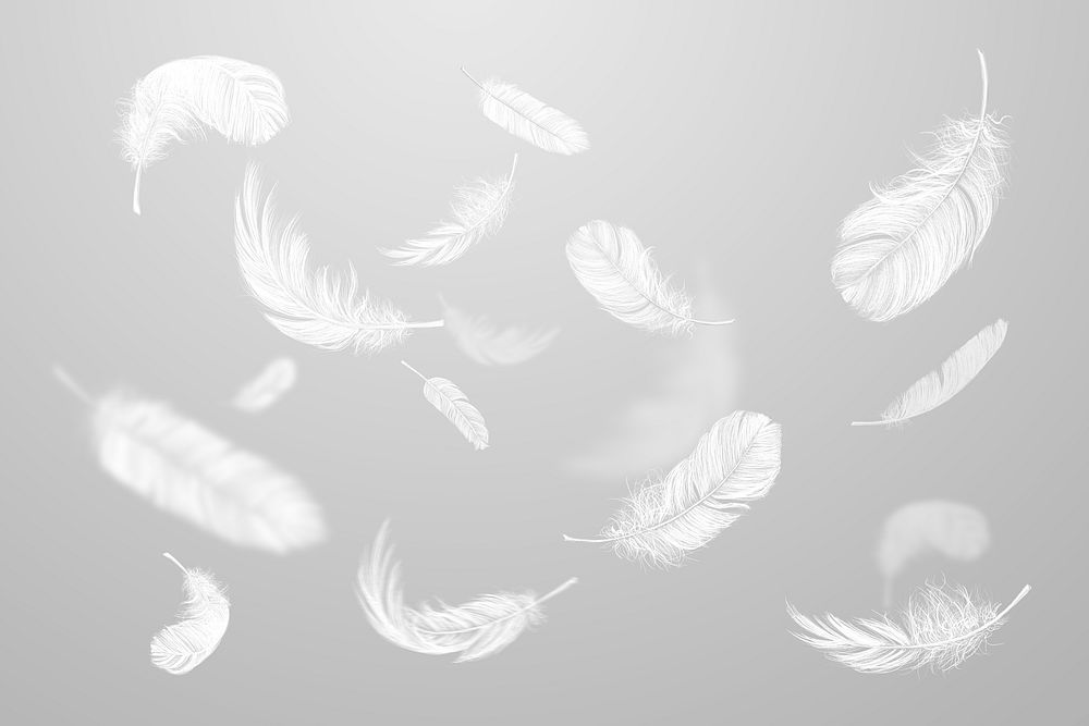Falling white feathers on gray background