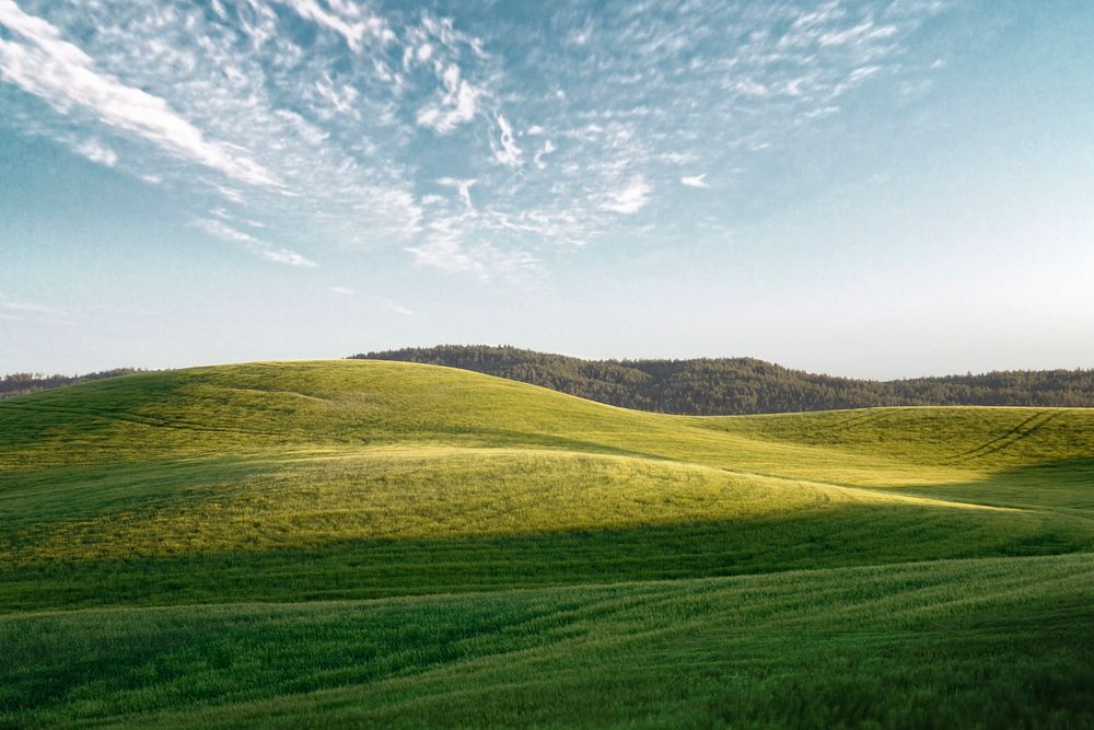 Grass field background, green hills & blue sky