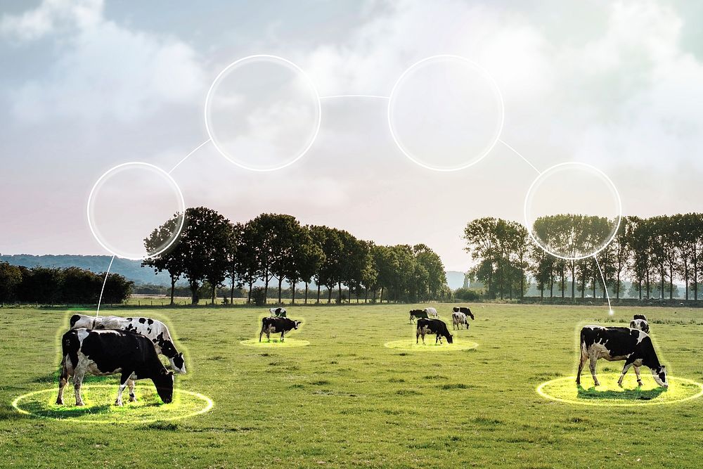 Agricultural technology, smart dairy farming