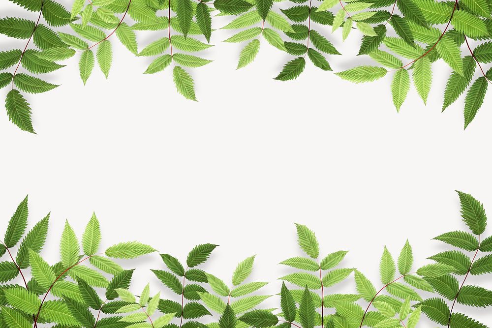 Green leaf off-white background, botanical border
