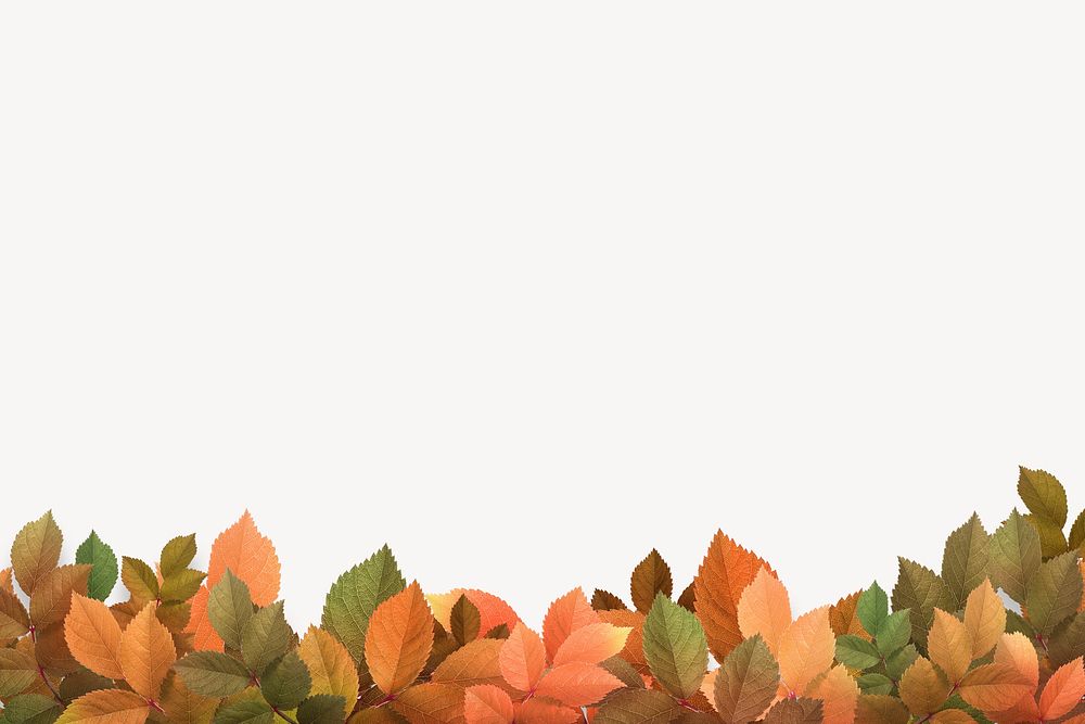  Autumn background, dry leaf border psd