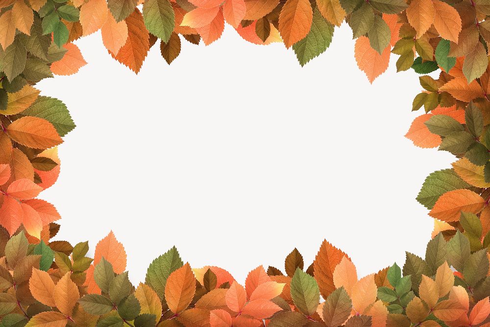 Autumn leaf frame background, white design psd