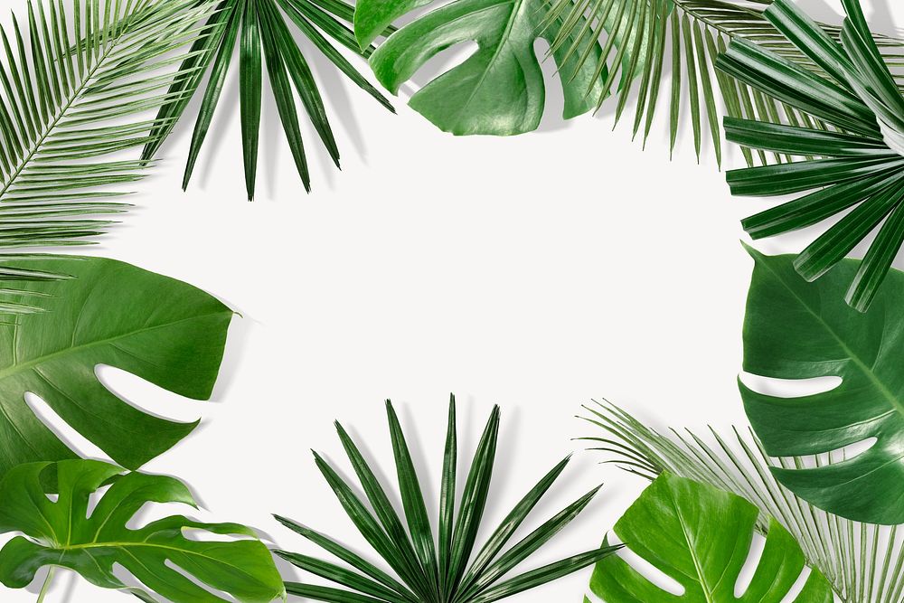 Tropical leaf frame background, green and white design psd