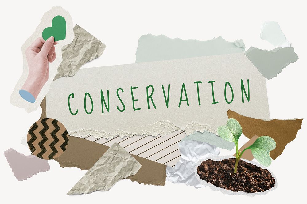 Conservation word typography, environment aesthetic paper collage