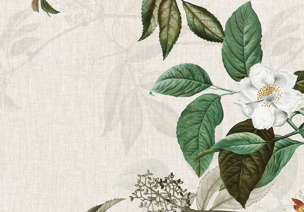 Weaved background with musk rose illustration