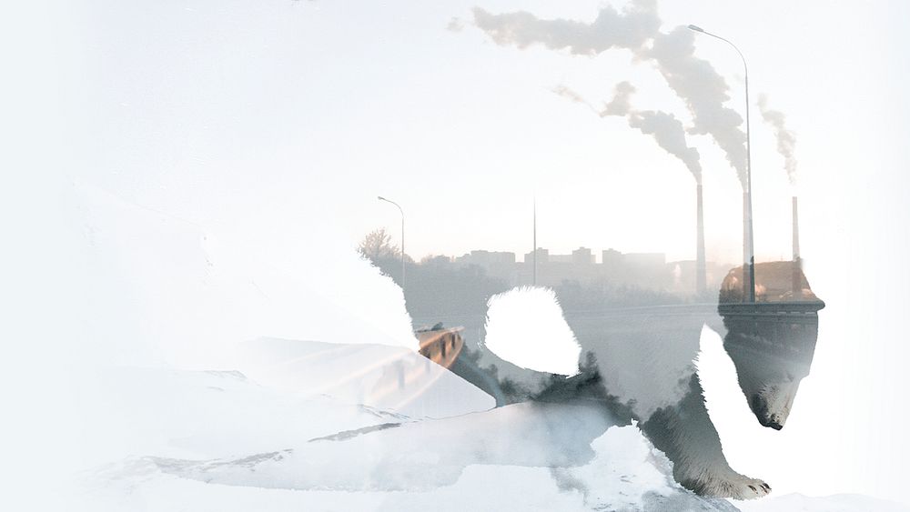 Climate change desktop wallpaper, polar bear background in environment concept, remixed media design