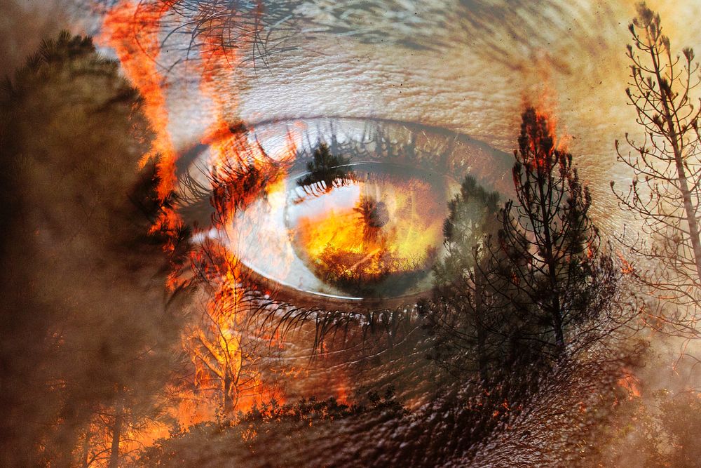 Eye background, forest fire, remixed media design