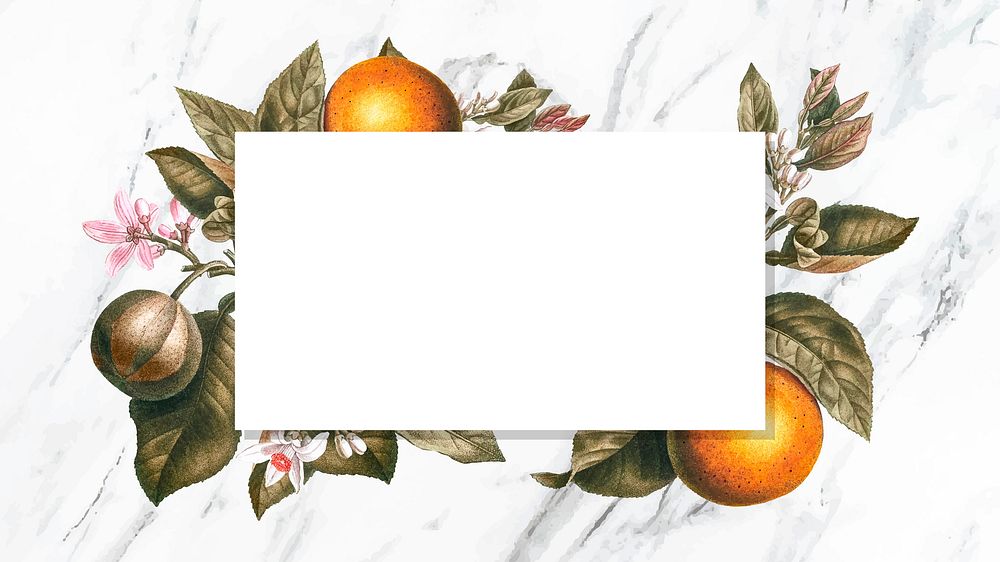 Blank tropical orange card vector