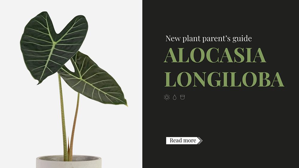 Plant parent beginner template vector guide