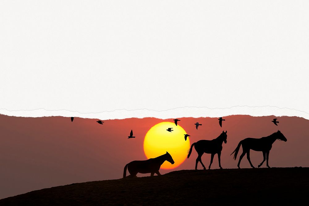 Horses silhouette background, animal sunset border