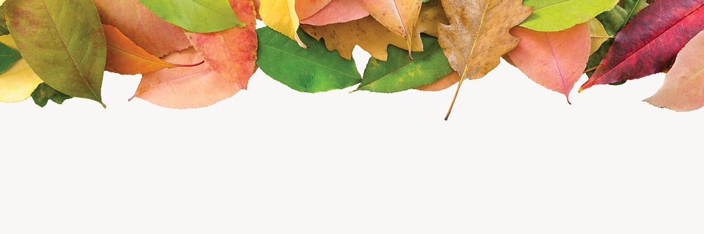 Orange leaves background, autumn aesthetic border