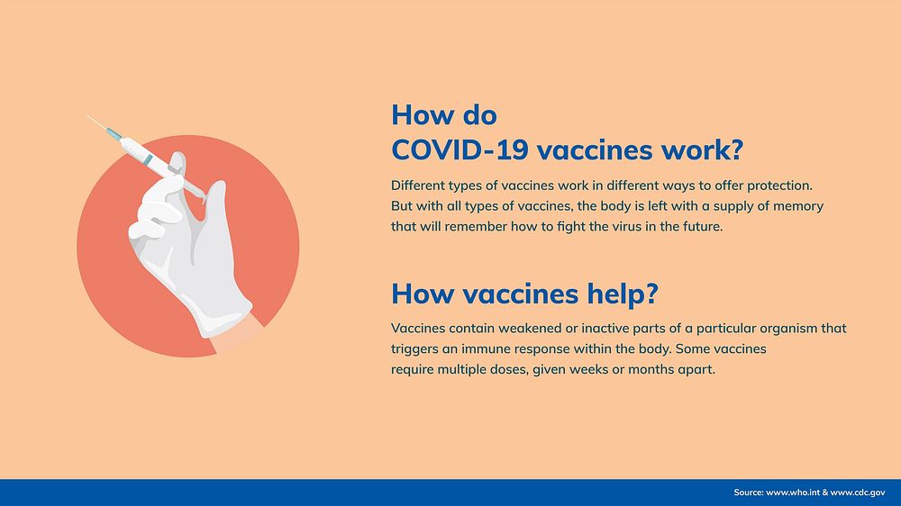 COVID 19 slide template, vector guidance how vaccine works