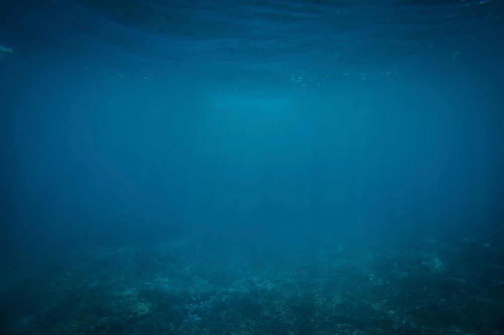 Underwater. Original public domain image from Wikimedia Commons