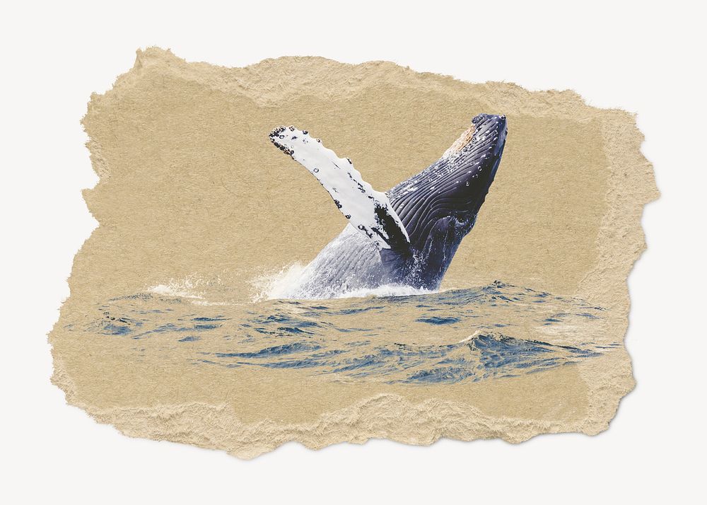 Whale, ripped paper collage element
