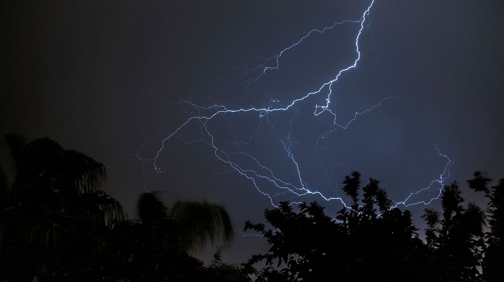 A lightning over the trees. Original public domain image from Wikimedia Commons