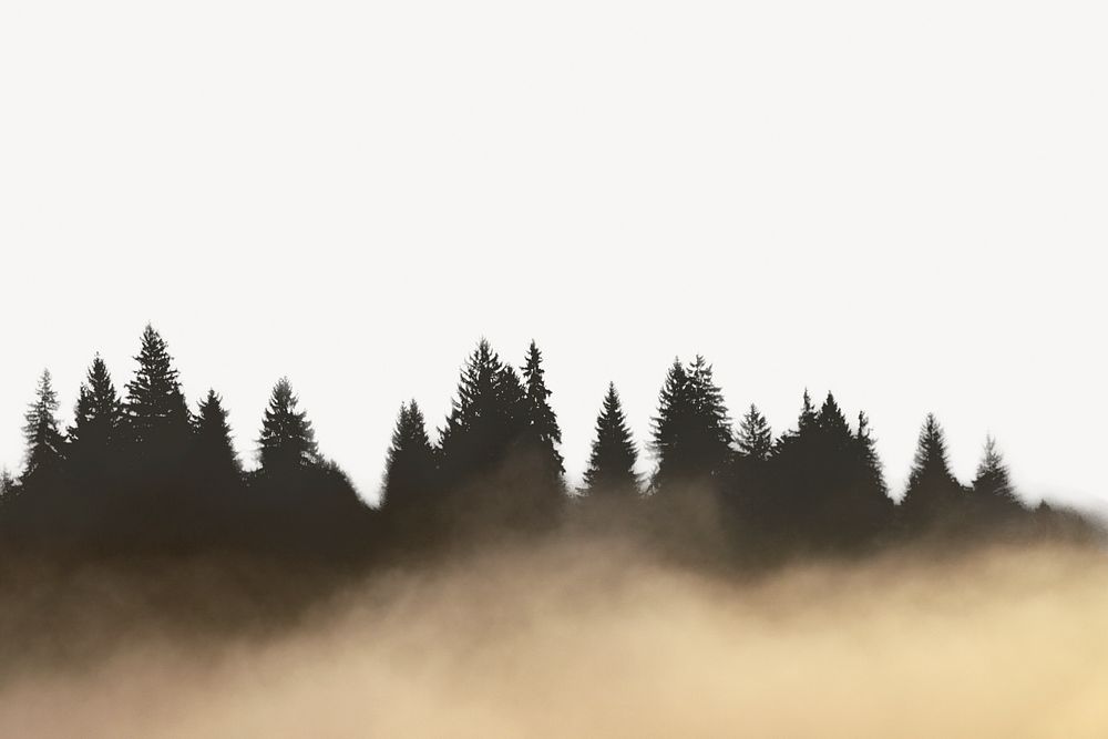 Foggy forest border collage element, nature design psd