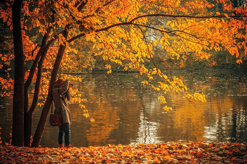 A woman taking photos of a lake, surrounded by trees with orange and yellow leaves in herastrau park. Original public domain…