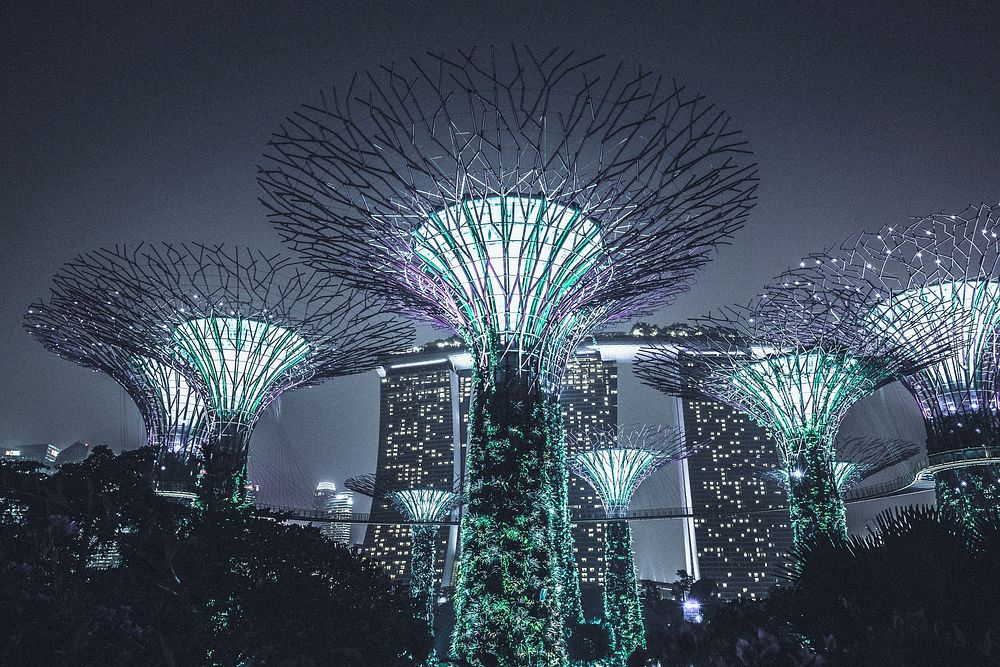 Night show Supertree Grove in Singapore. Original public domain image from Wikimedia Commons