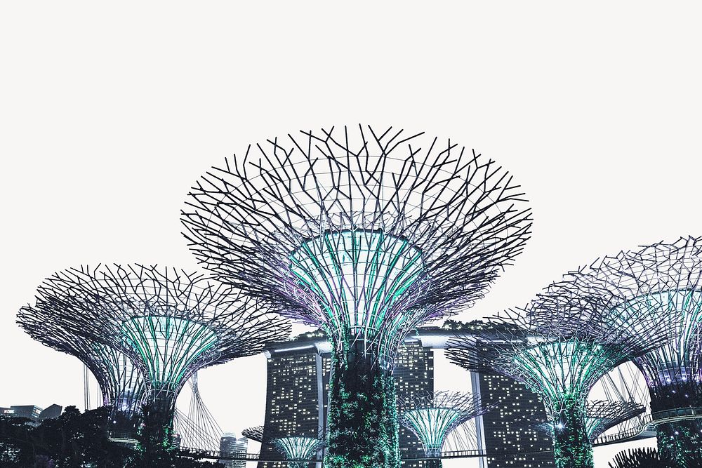 Supertree Grove in Singapore border collage element, travel destination psd