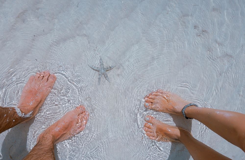 Two people's feet in the sea, next to a starfish. Original public domain image from Wikimedia Commons